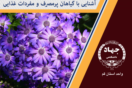 آشنایی با گیاهان پرمصرف و مفردات غذایی